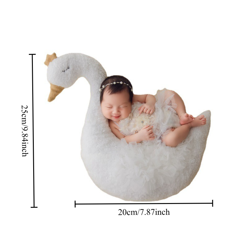 Yenidoğan Fotoğrafçılığı Akses - Baby Products Photoshoot incelemesi ve fiyatı